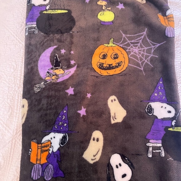 Peanuts Snoopy and Woodstock Halloween plush throw blanket 50x70 - Picture 4 of 4